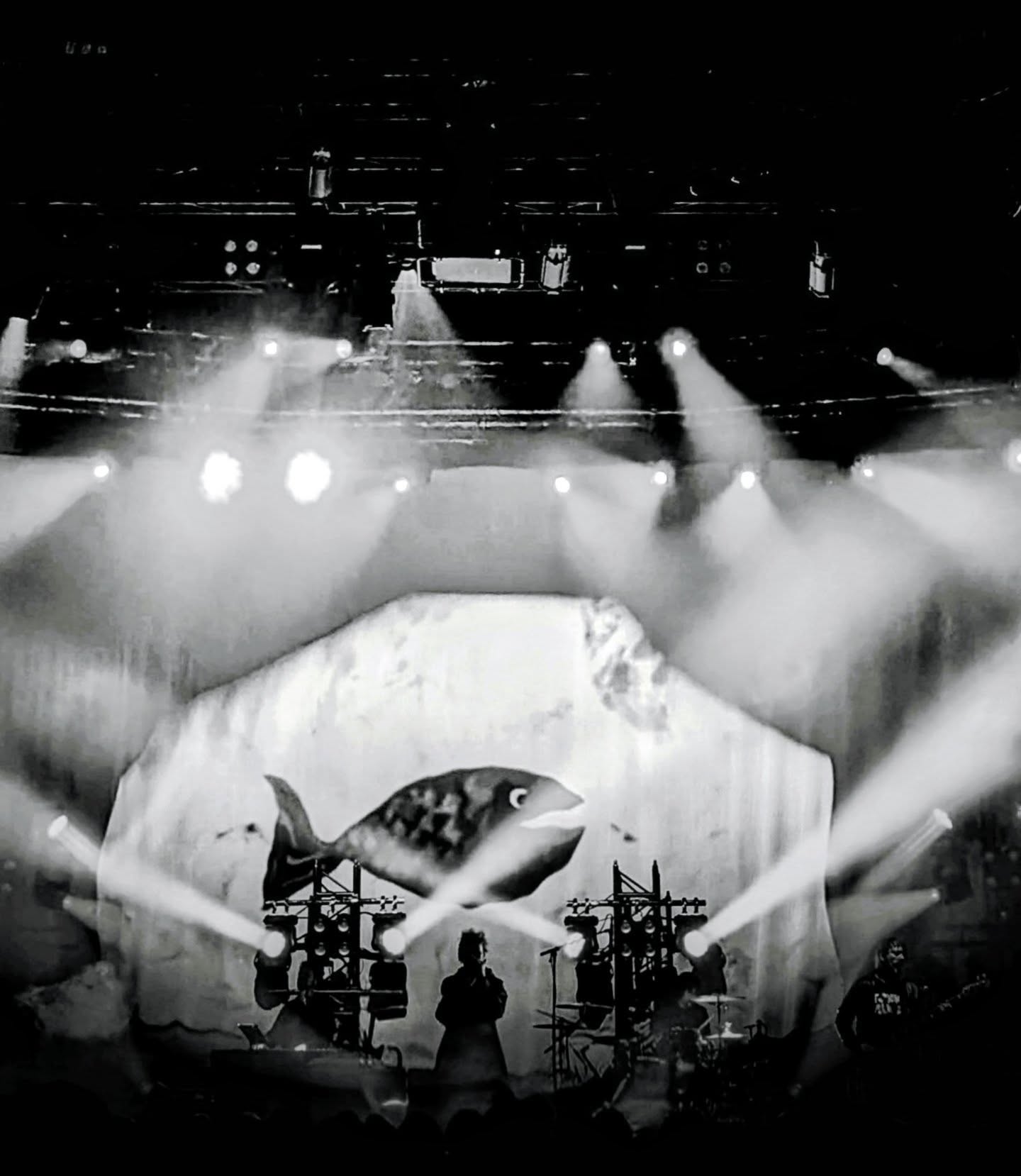 London. That was chuffing brilliant. Thank you all for making a magical evening. 🐰