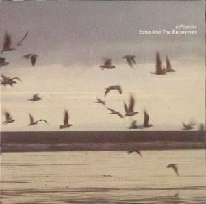 Echo & The Bunnymen A Promise
