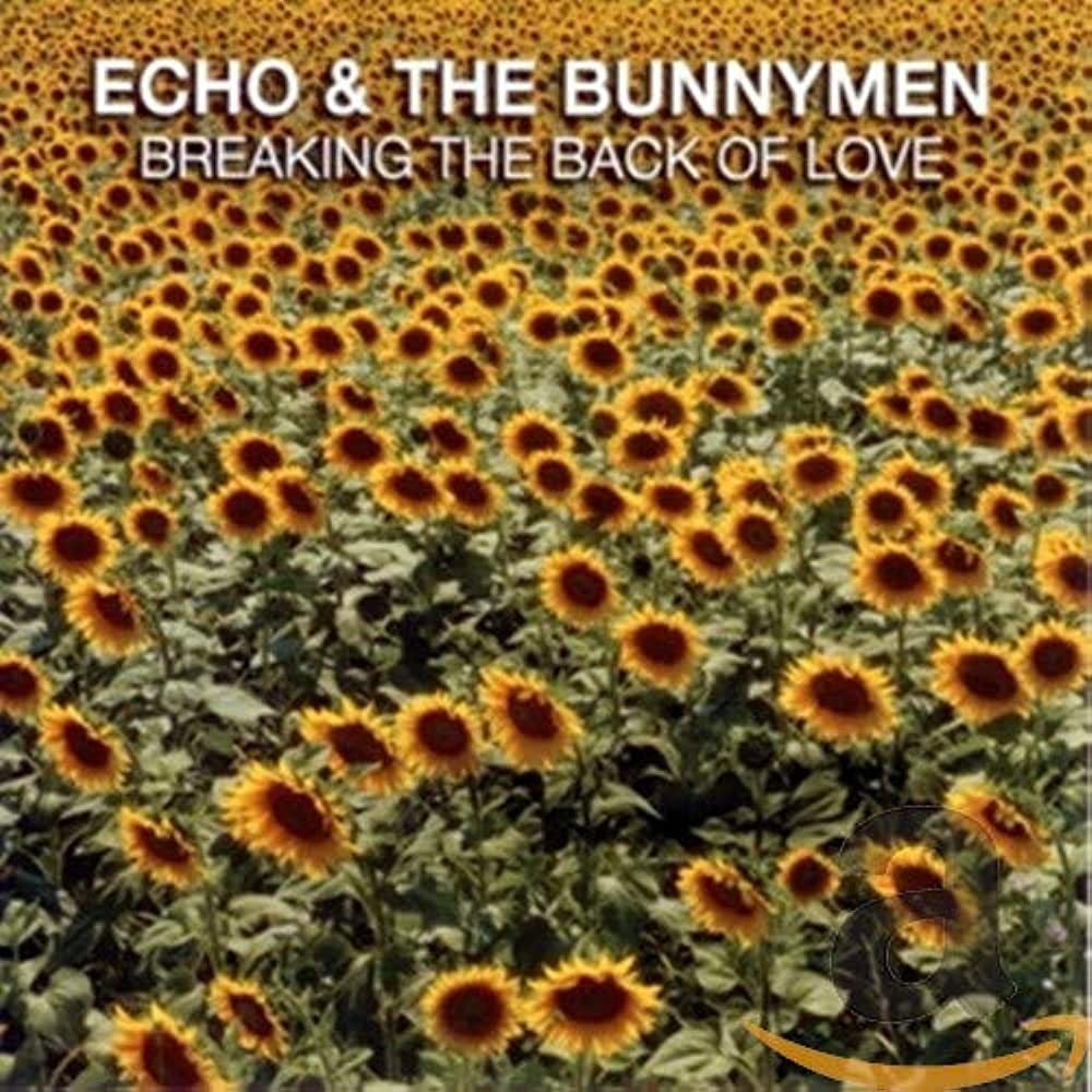 Echo & The Bunnymen Breaking The Back Of Love