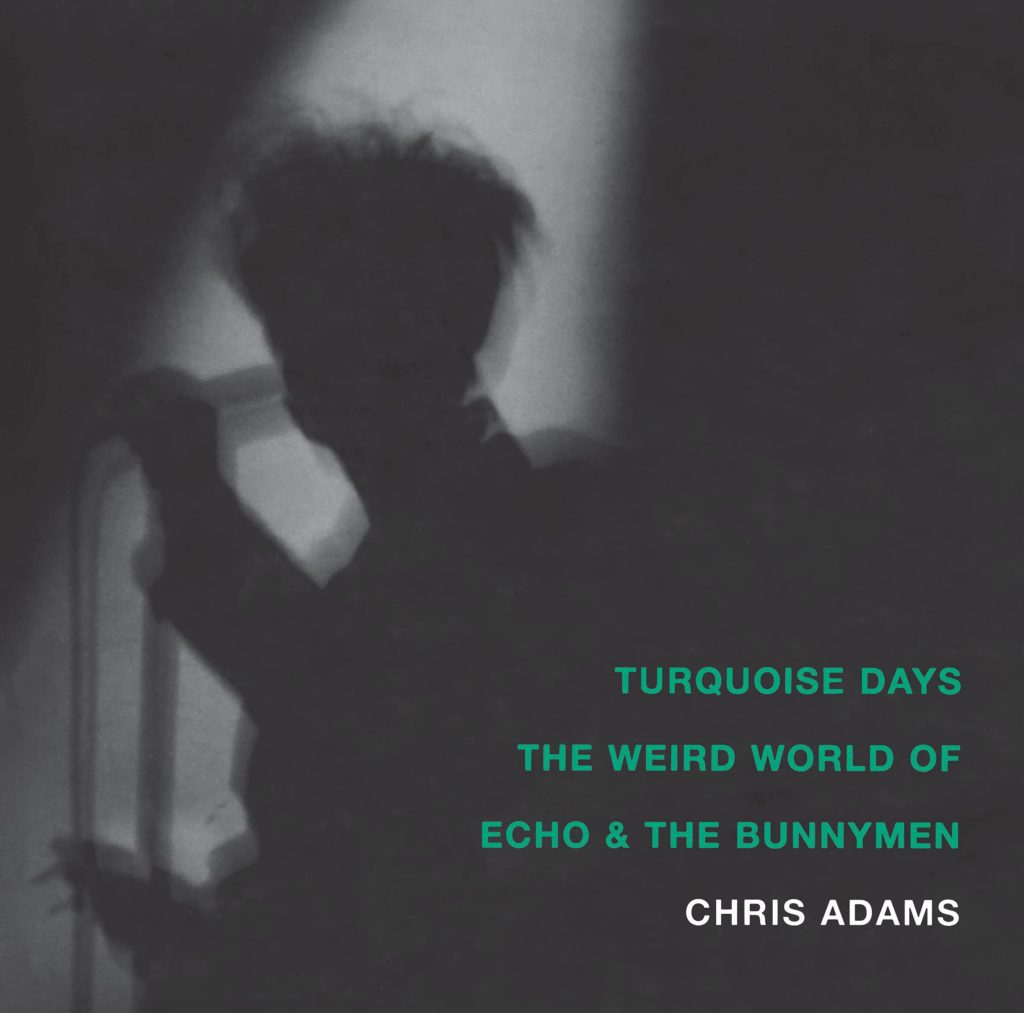 Echo & The Bunnymen Turquoise Days Book