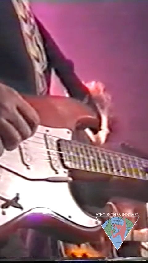 I never need an excuse to post a video of 'BedBugs and Ballyhoo'. LOVE IT. 🐿️🦘🐝