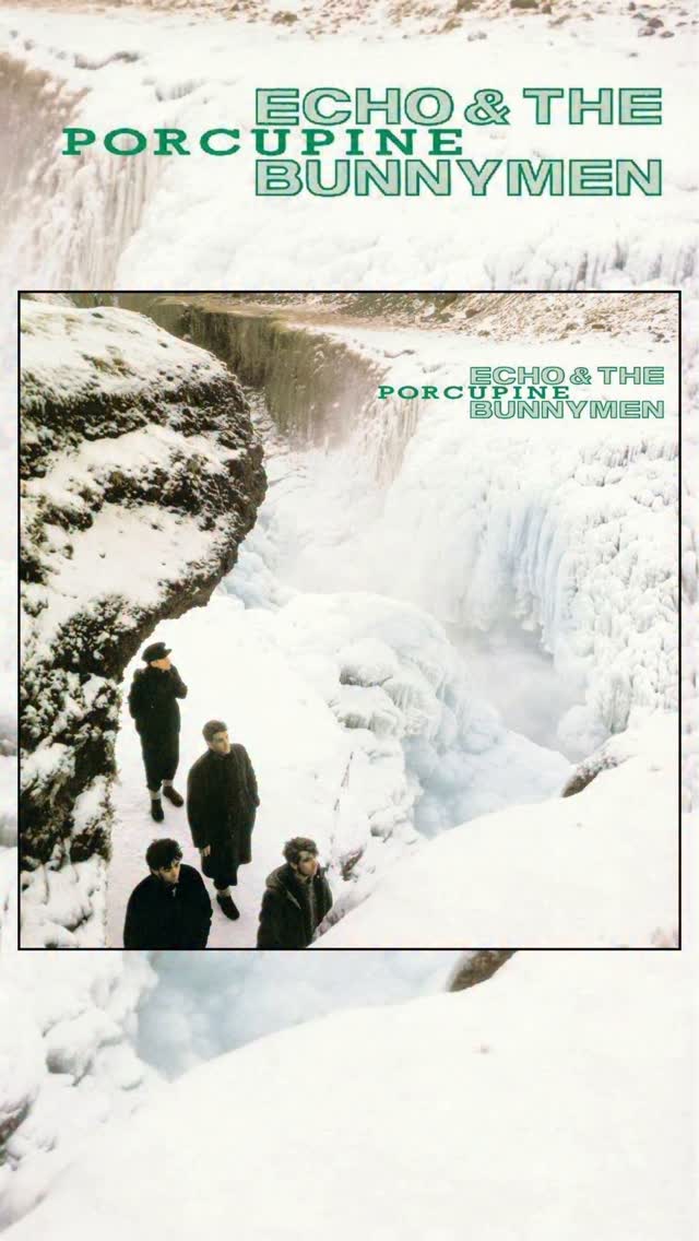 On this day in 1983, we released our third album, Porcupine.