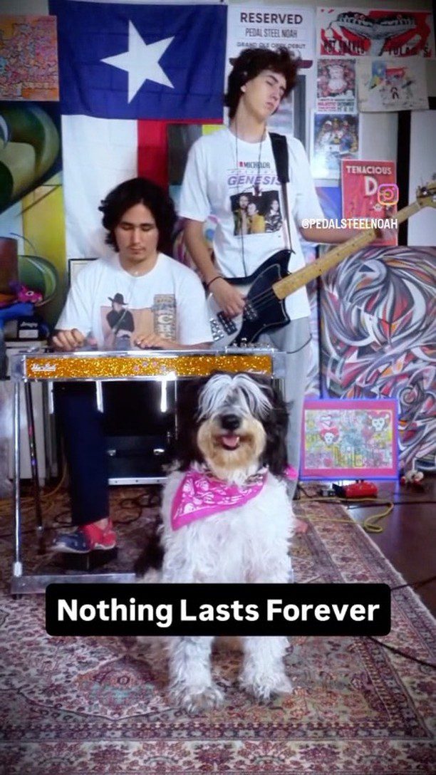We love these guys, they produce some fantastic content. Give them some love.
https://www.instagram.com/pedalsteelnoah/
🐰🐄🐶