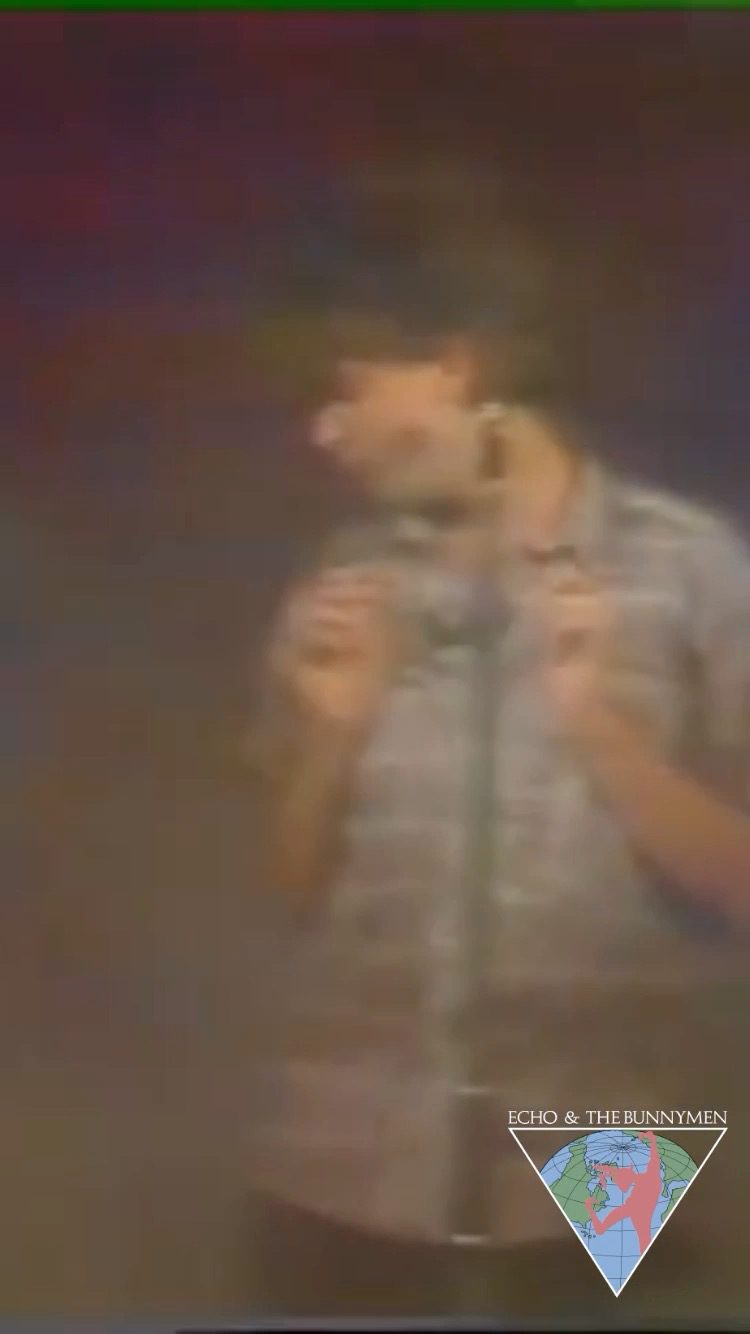 This is Echo & The Bunnymen 🐰