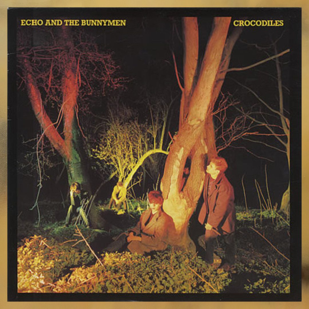 On this day in 1980 we released Crocodiles 🐊🐰