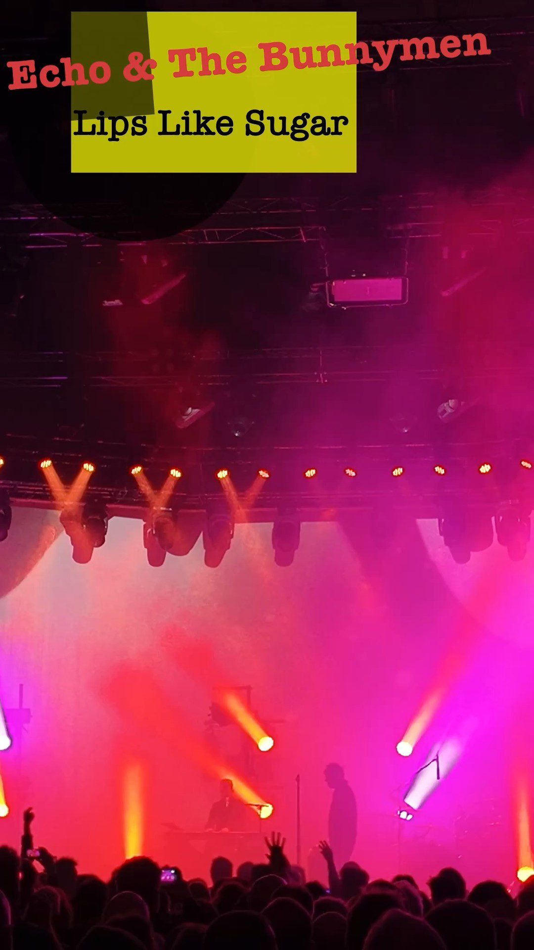 Echo & The Bunnymen Glasgow Live Summer Nights 2025