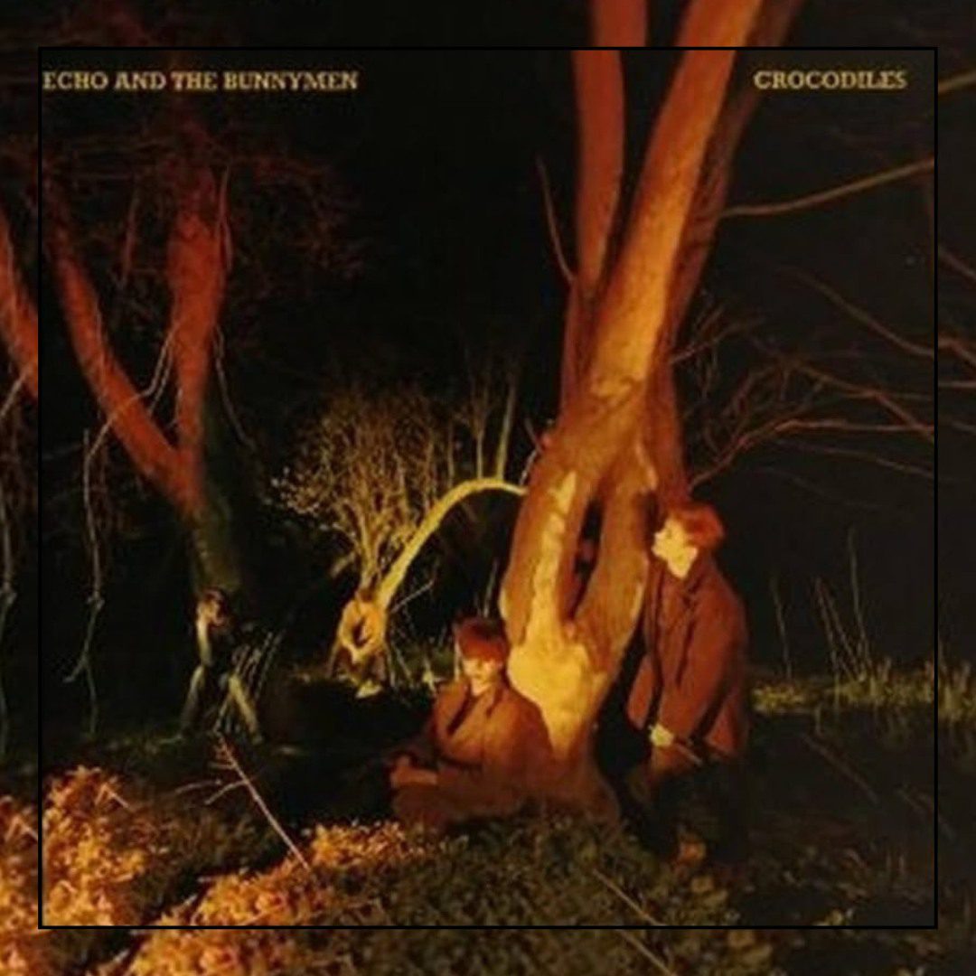 On this day in 1980 we released the album 'Crocodiles' the rest is history. 🐰🎸😎🐊