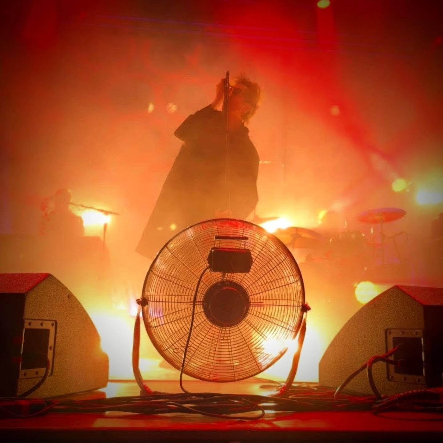 And like that, it's over. Thank you. Minneapolis for being a great final tour crowd. More great things to come later in the year🐰
📷 @shockleesg