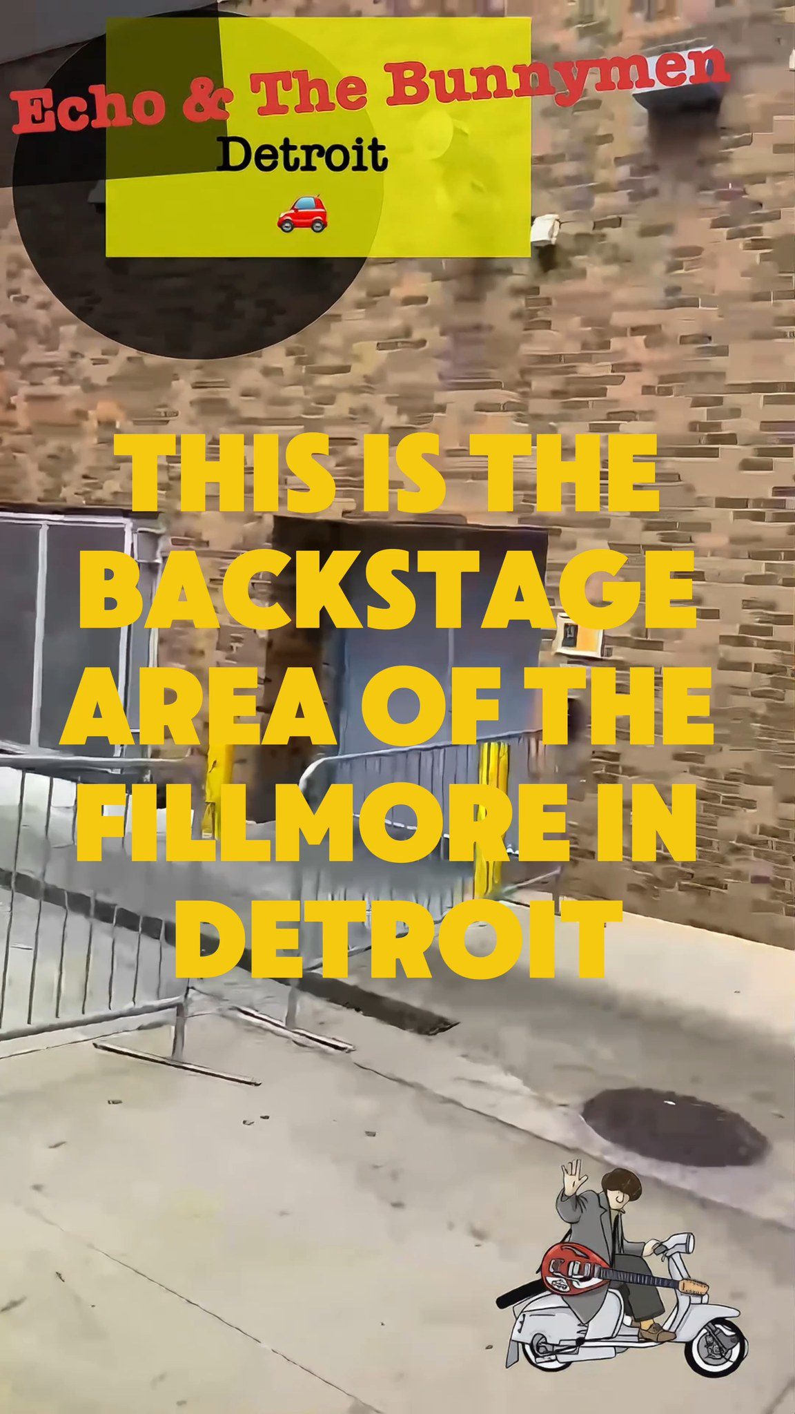 Will and the gang have hit Detroit. 🐰🚗