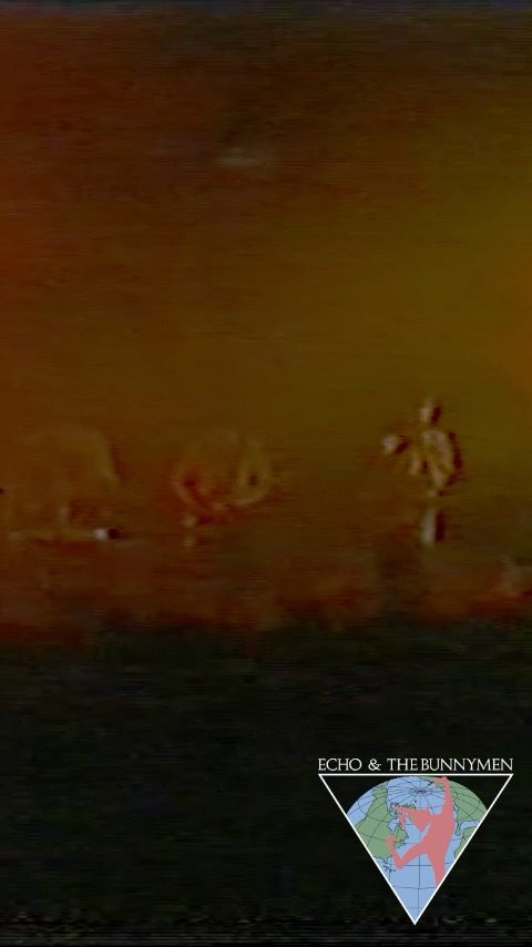 Echo & The Bunnymen — Heaven Up Here, St George’s Hall.
“We got the sofa, armchair, wardrobe and table from a place called Rialto in Liverpool and put it all on stage. Les’s bass amp was in a wardrobe.”
— Will Sergeant