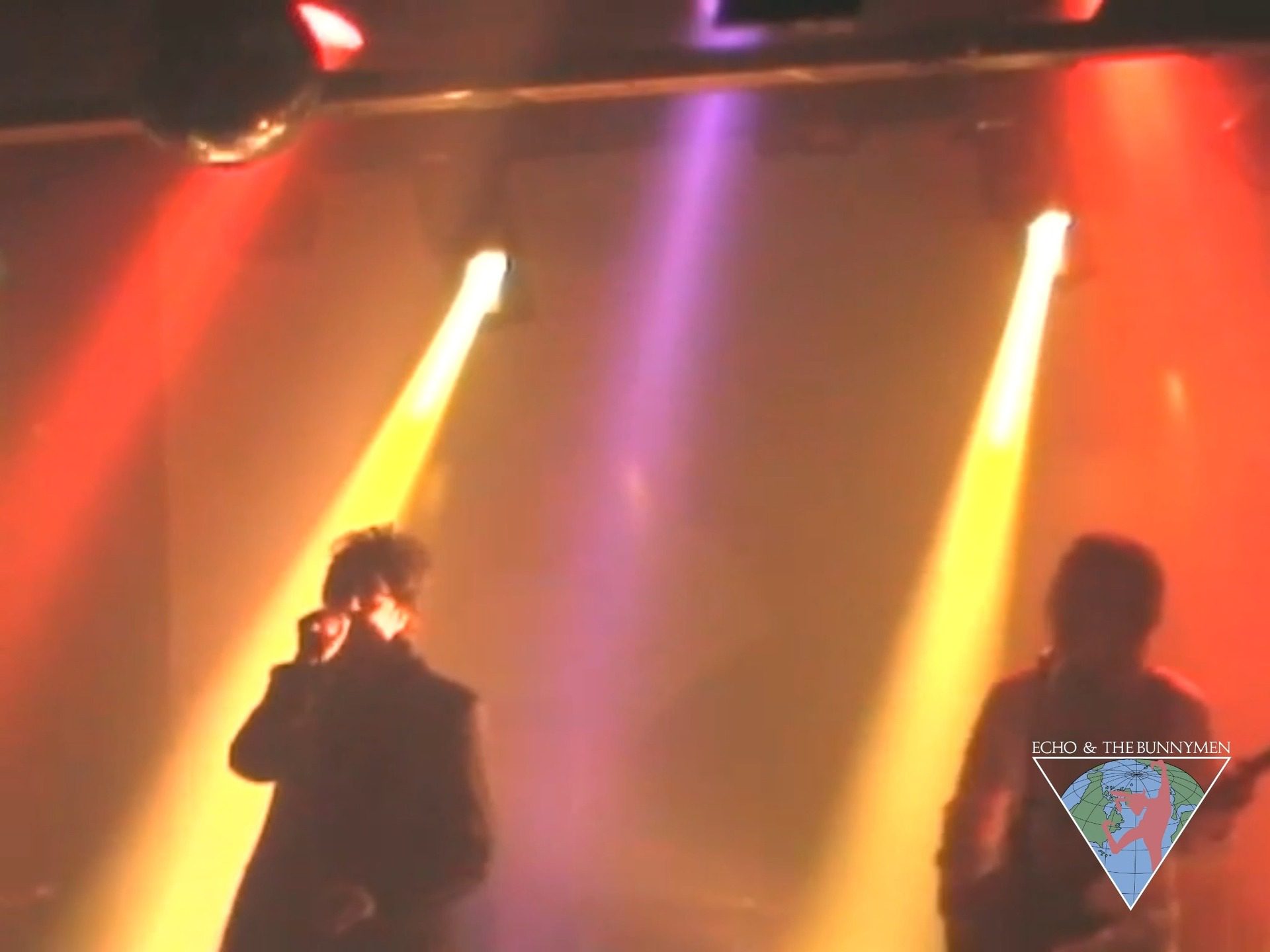 Can’t beat a bit of dad cam video footage. 'Back Of Love' Whitehaven, UK. 📹 🐰