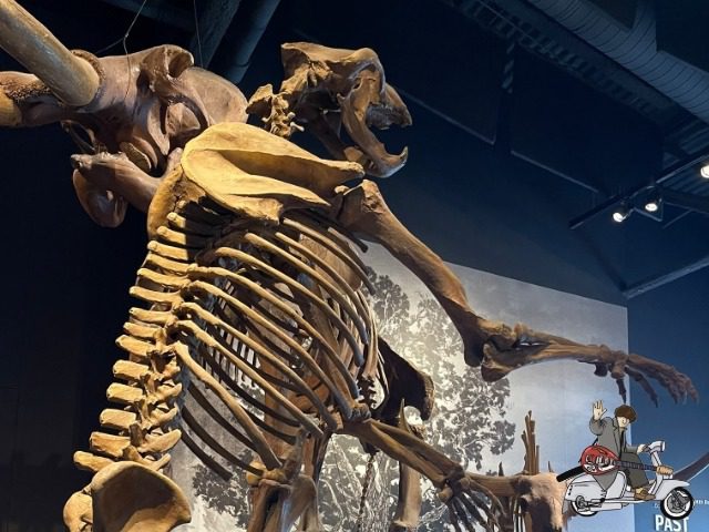 Will Sergeant and the gang  visited the Natural History museum in Salt Lake City and had a spiffing time. 🐰 🦖🦕
