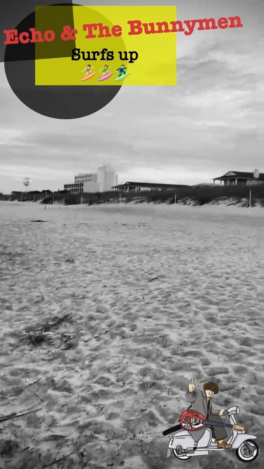 Will Sergeant checks in with another update from the road, this time from the beautiful Wrightsville Beach in Wilmington ahead of Monday night's show. 🛥️🌊⛱️
From ocean views to soundchecks, the tour rolls on 🐰
